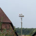 アパート Helle Voll Ausgestattete 2 Zi Whg Im Gruenen Labenz