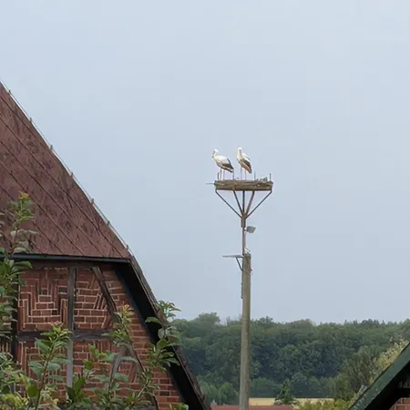 Lejlighed Helle Voll Ausgestattete 2 Zi Whg Im Gruenen Labenz